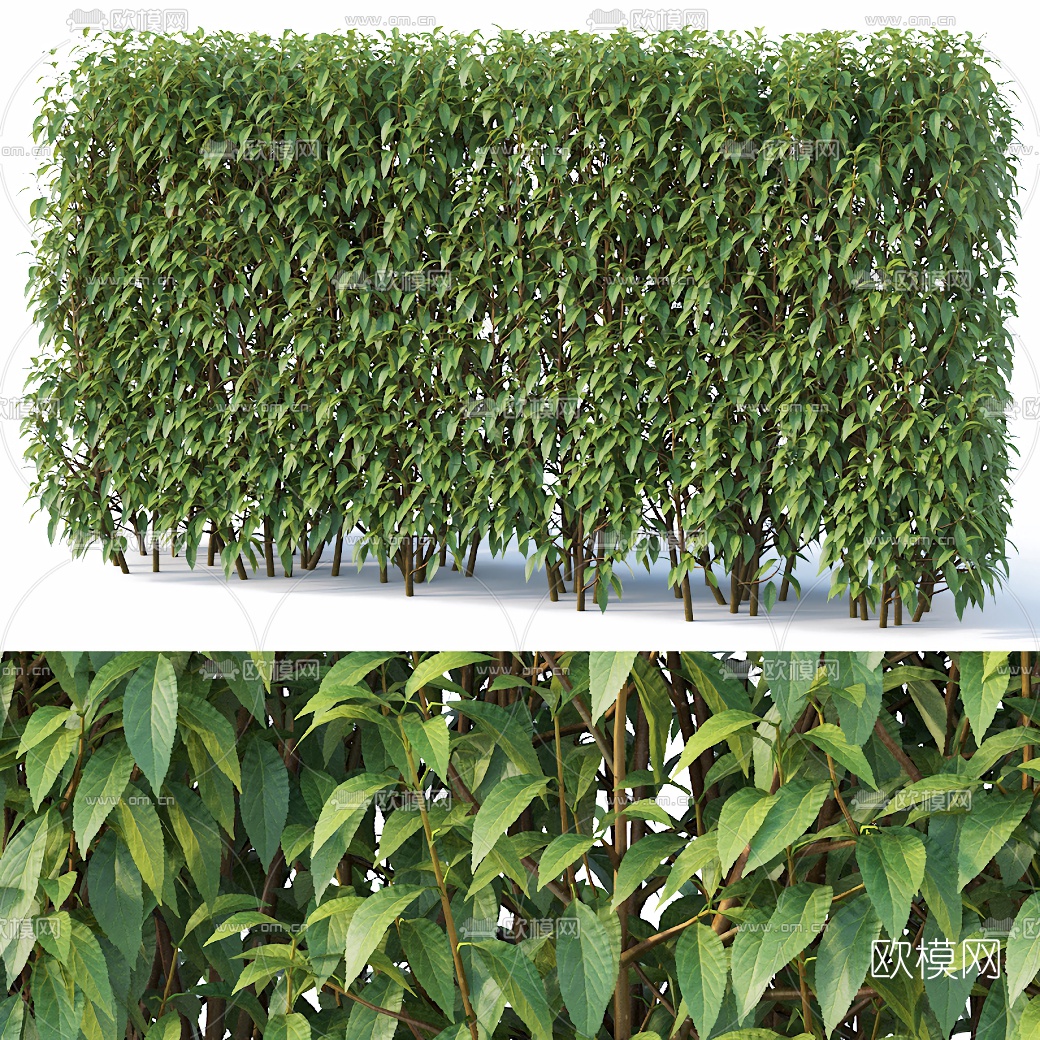 现代灌木绿篱3d模型下载