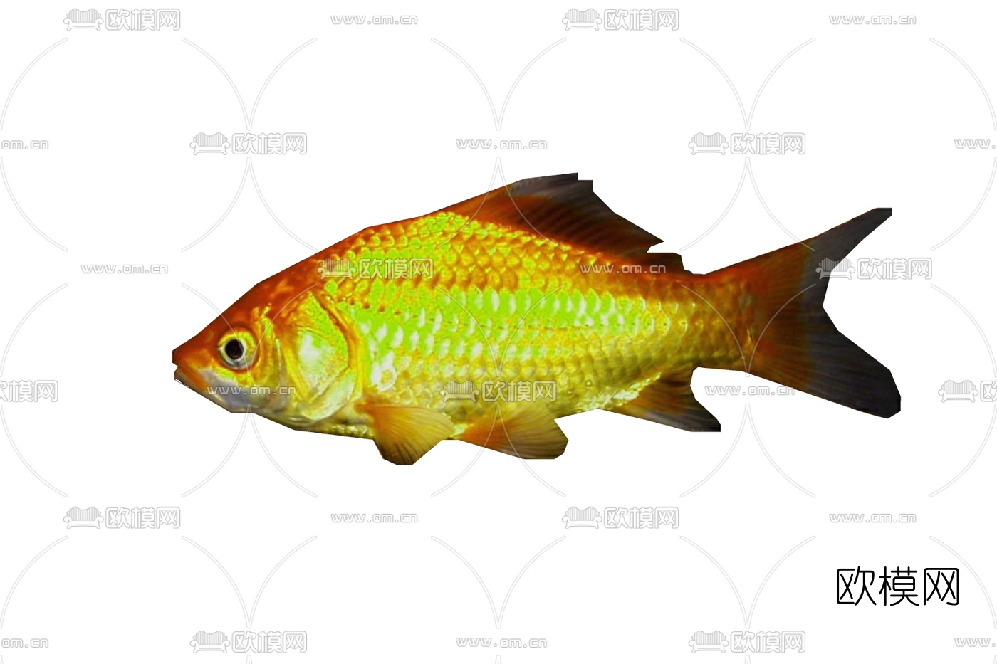 现代鲤鱼免费su模型下载