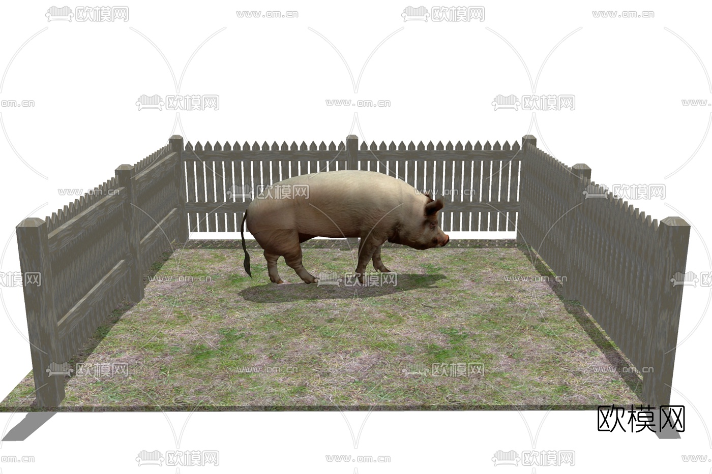 农村小型养猪场如何设计？最低成本，科学养猪简易猪栏猪舍 - 知乎