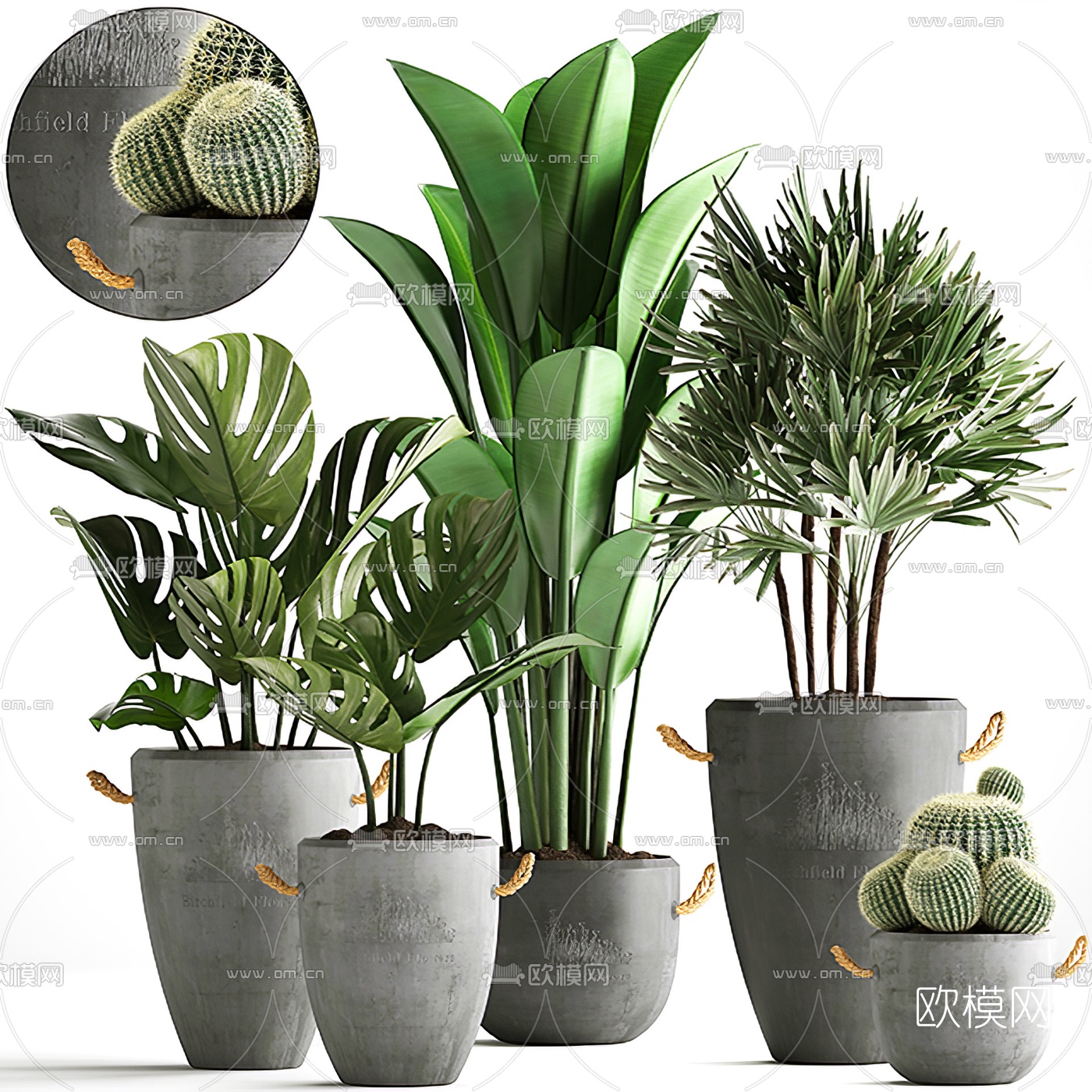 现代绿植盆栽3d模型