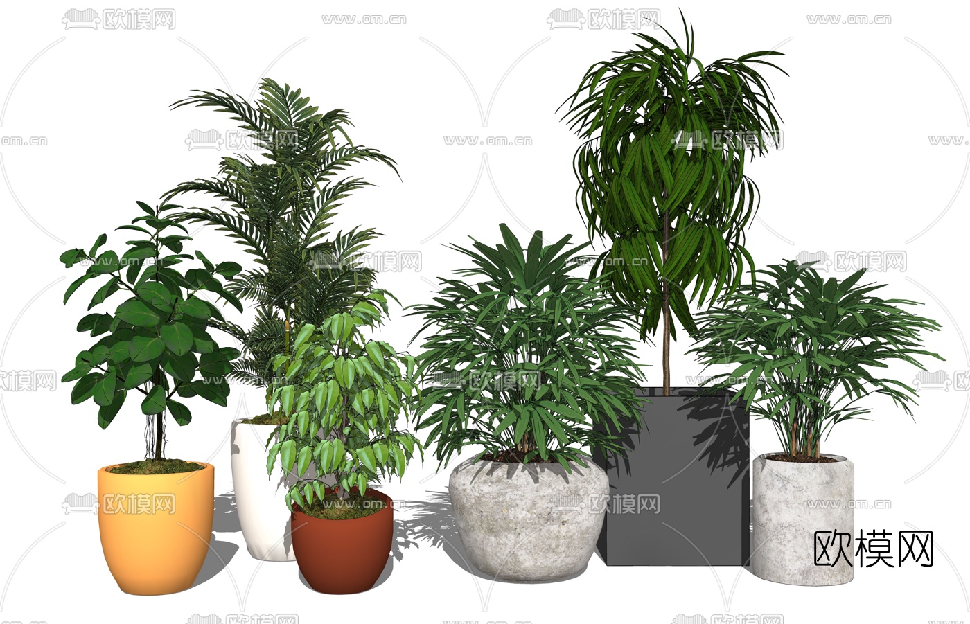 现代植物盆栽su模型