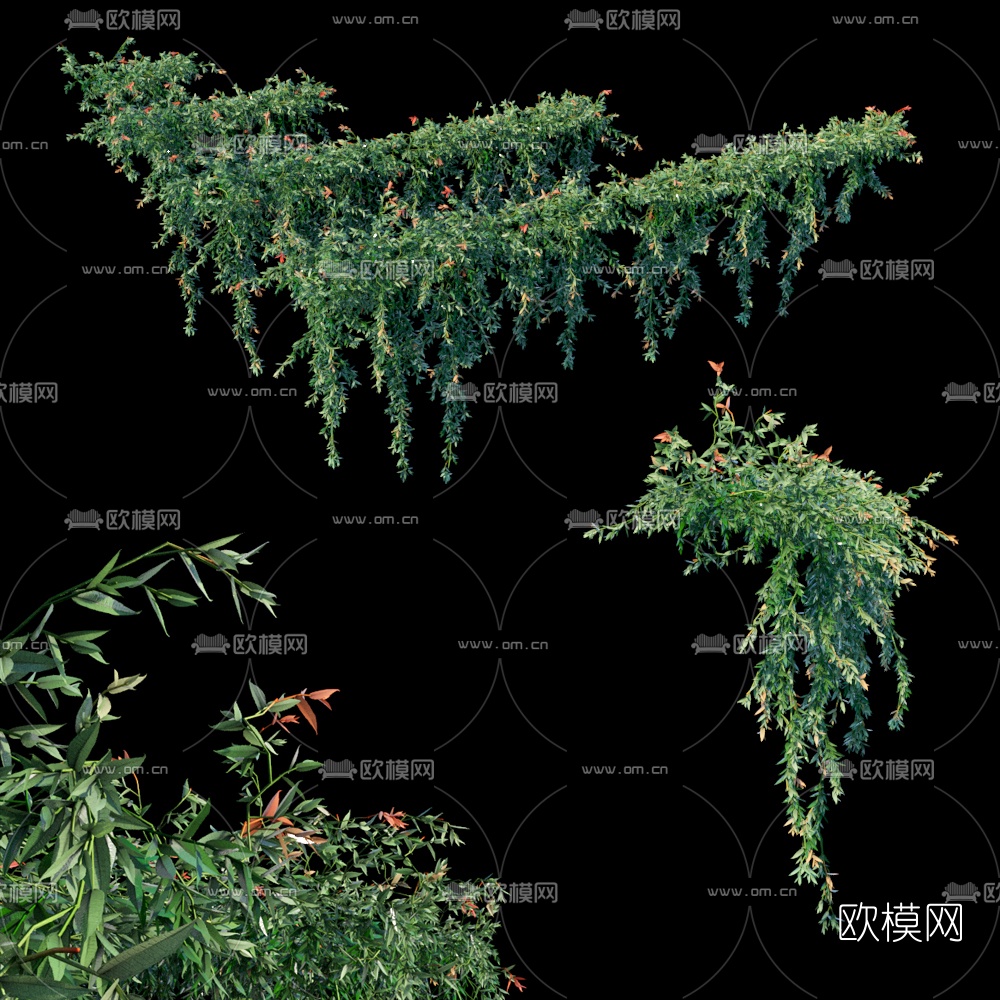 现代绿植藤蔓3d模型