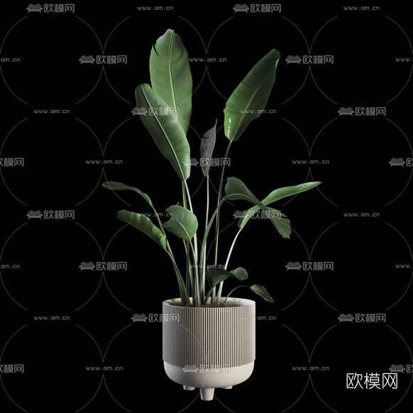 现代植物盆栽3d模型下载(渲染图2)
