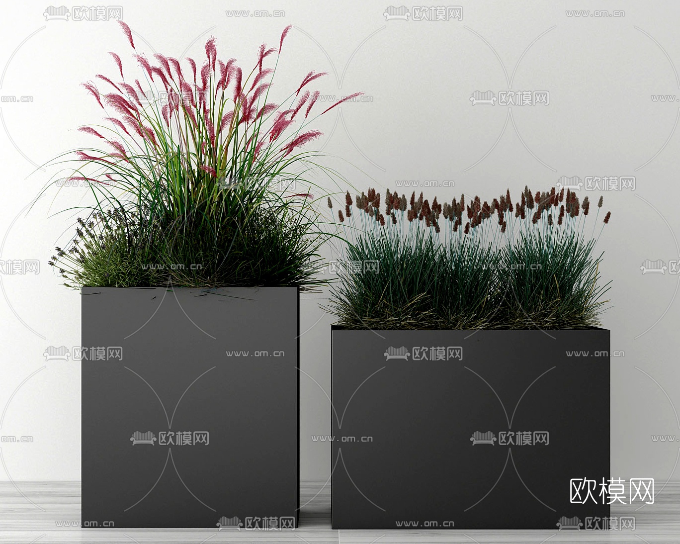 现代花草花坛3d模型下载