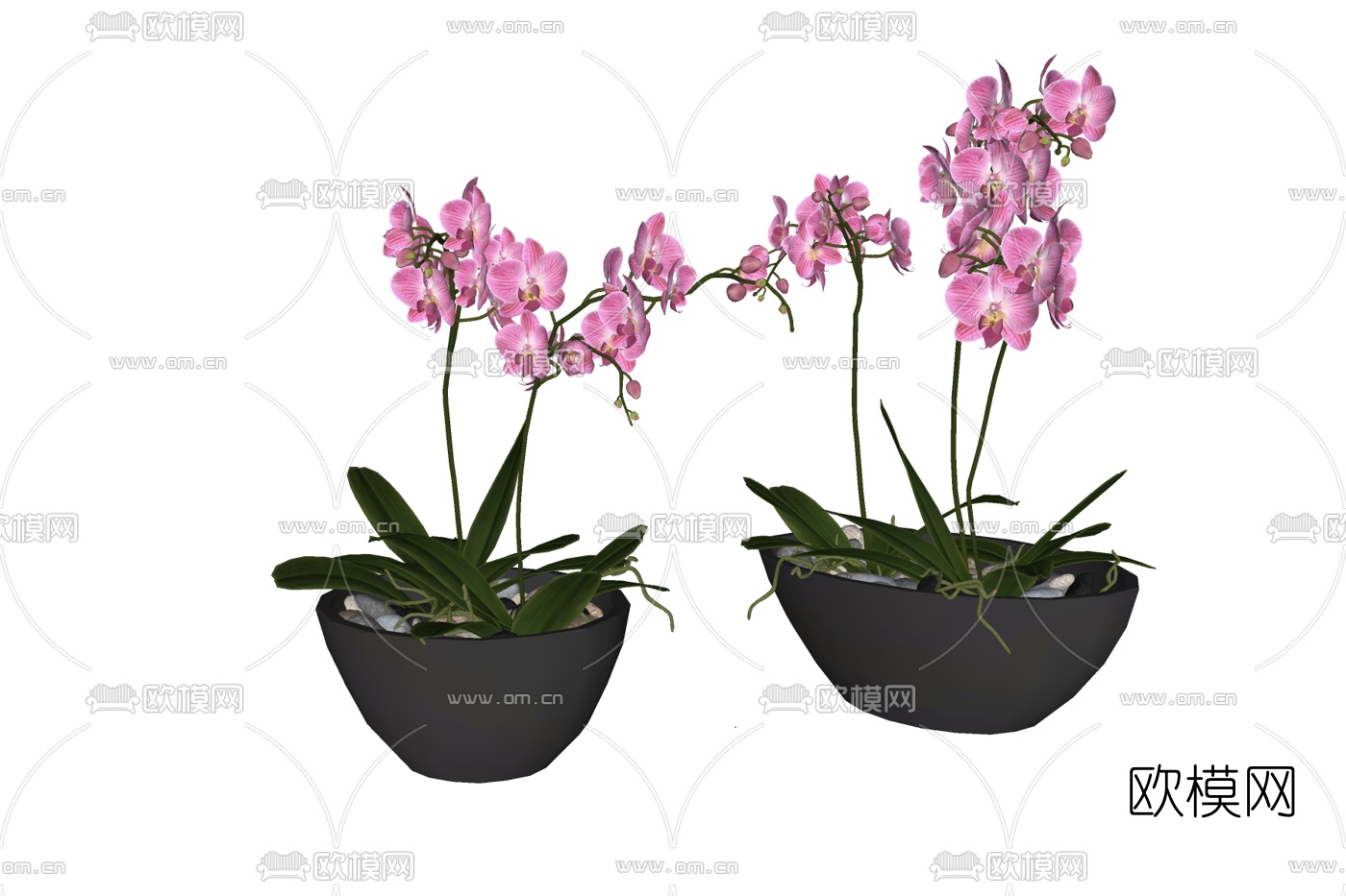 现代兰花盆栽免费su模型下载