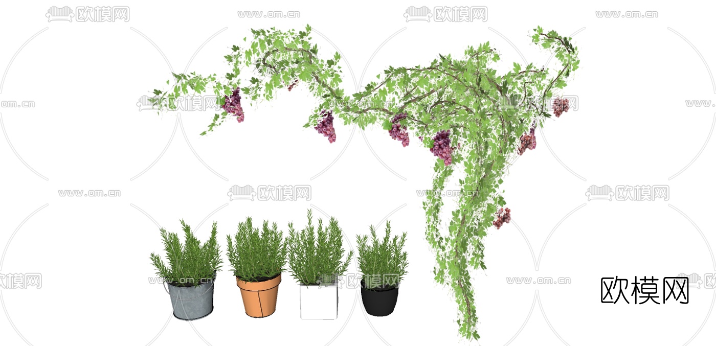 现代盆栽葡萄藤su模型下载