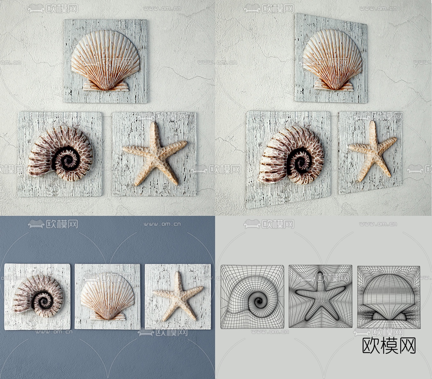 地中海立体贝壳墙饰挂件3d模型下载