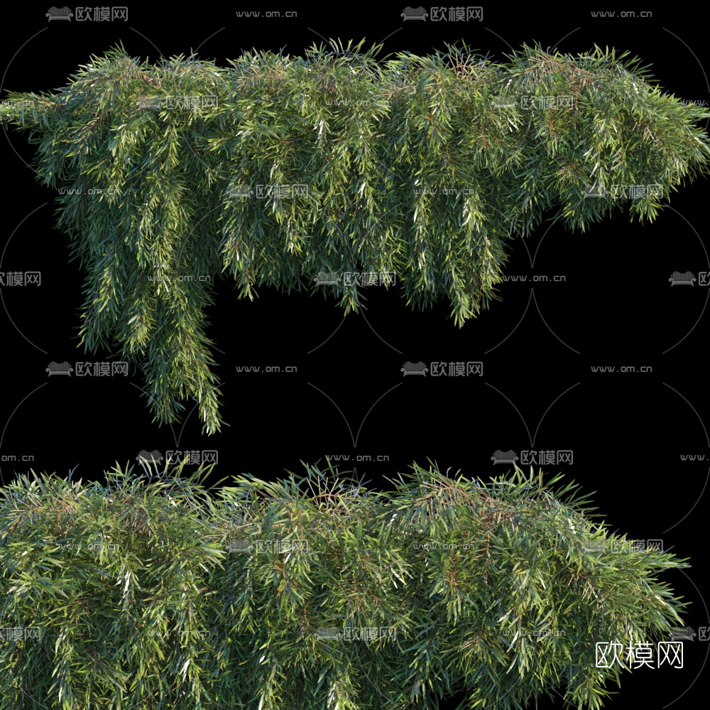 现代绿植藤蔓常春藤3d模型下载