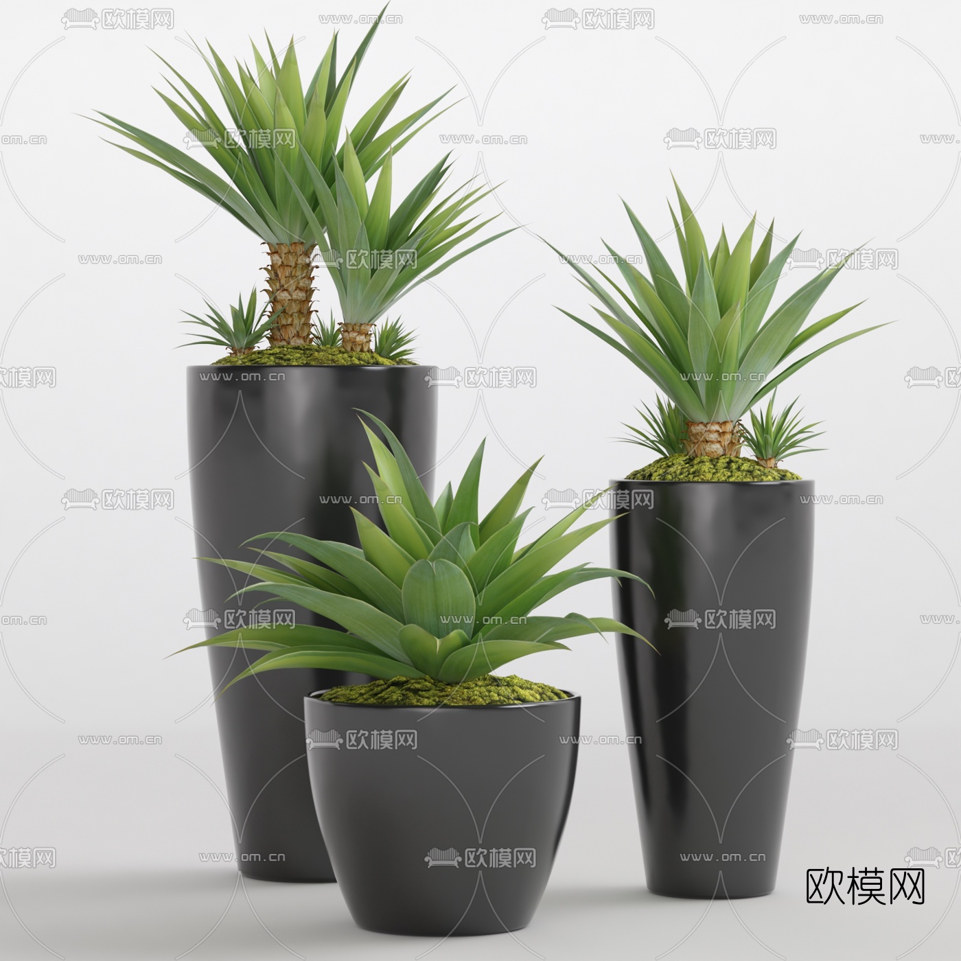 现代室内植物盆栽3d模型-免费3dmax模型库-欧模网