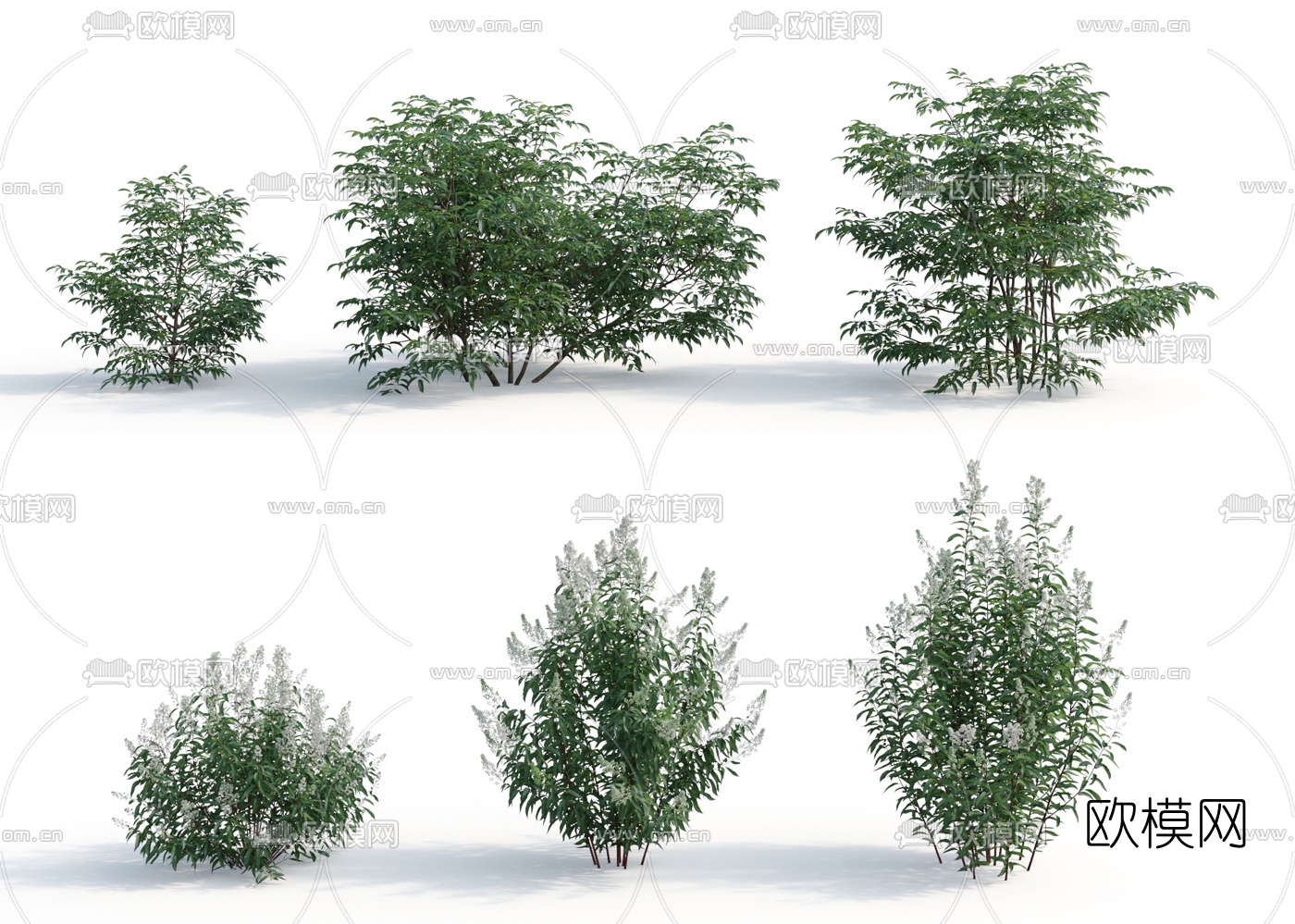 现代灌木花草3d模型
