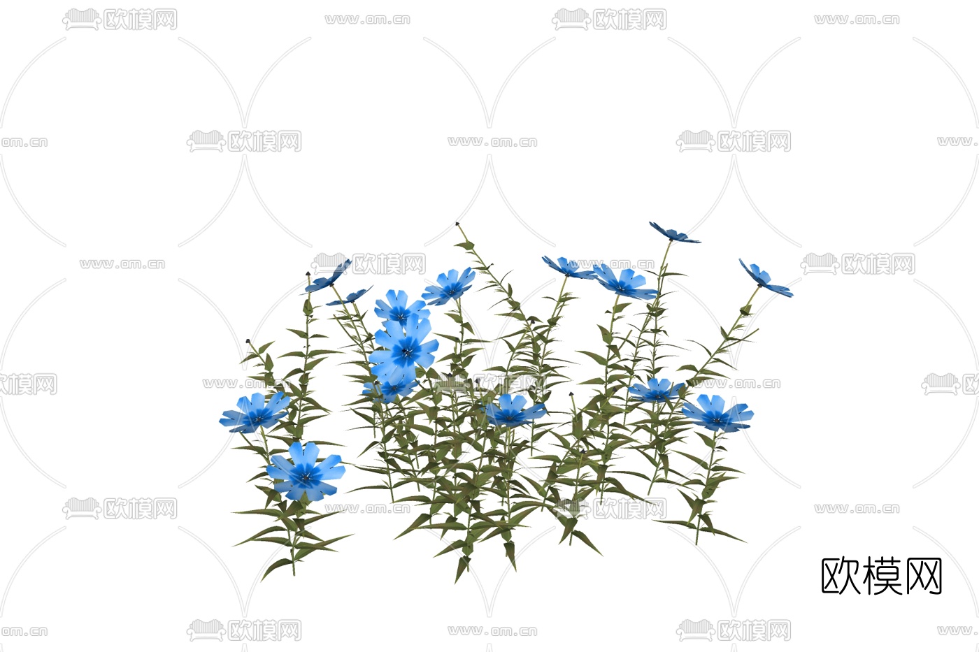 现代翠雀花免费su模型