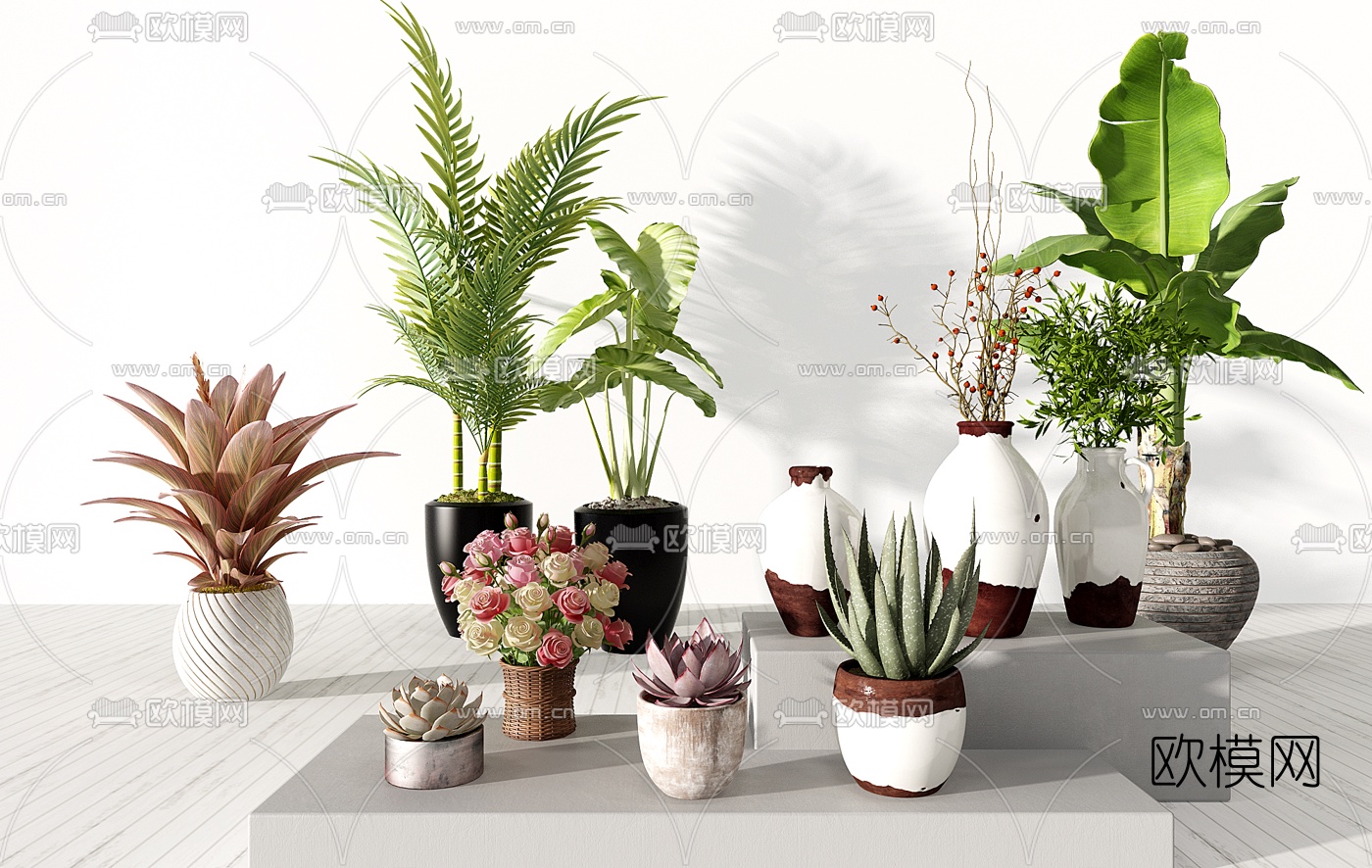 现代绿植花卉盆栽组合3d模型-免费3dmax模型库-欧模网