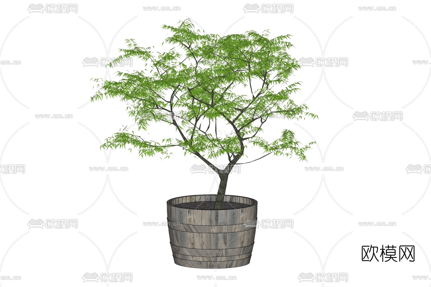 现代绿植盆栽免费su模型下载