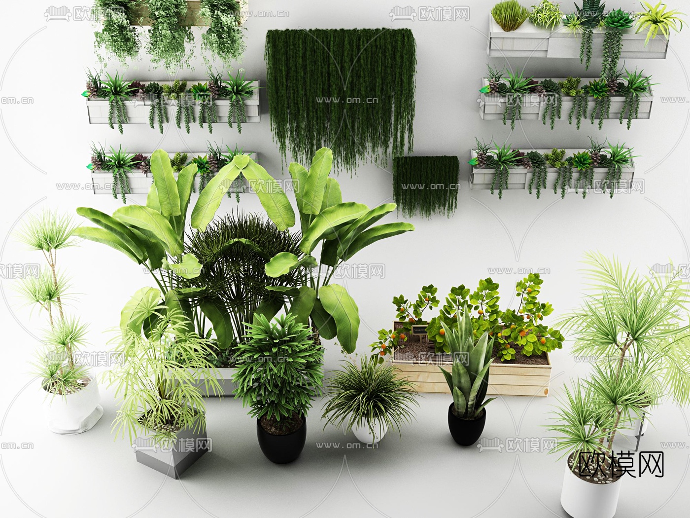现代植物花草绿植盆栽3d模型