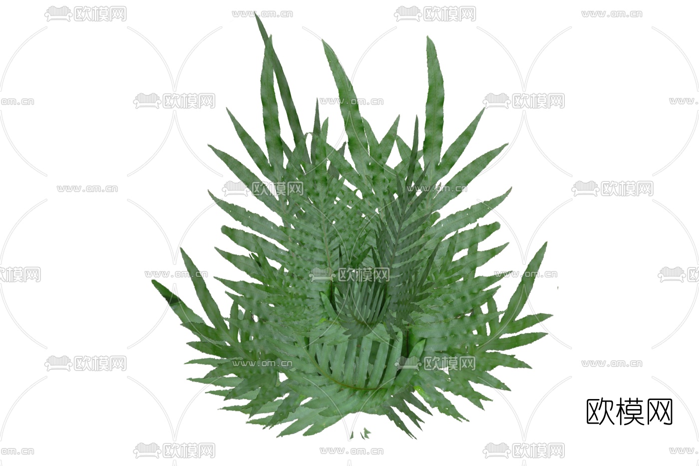 现代灌木丛免费su模型下载