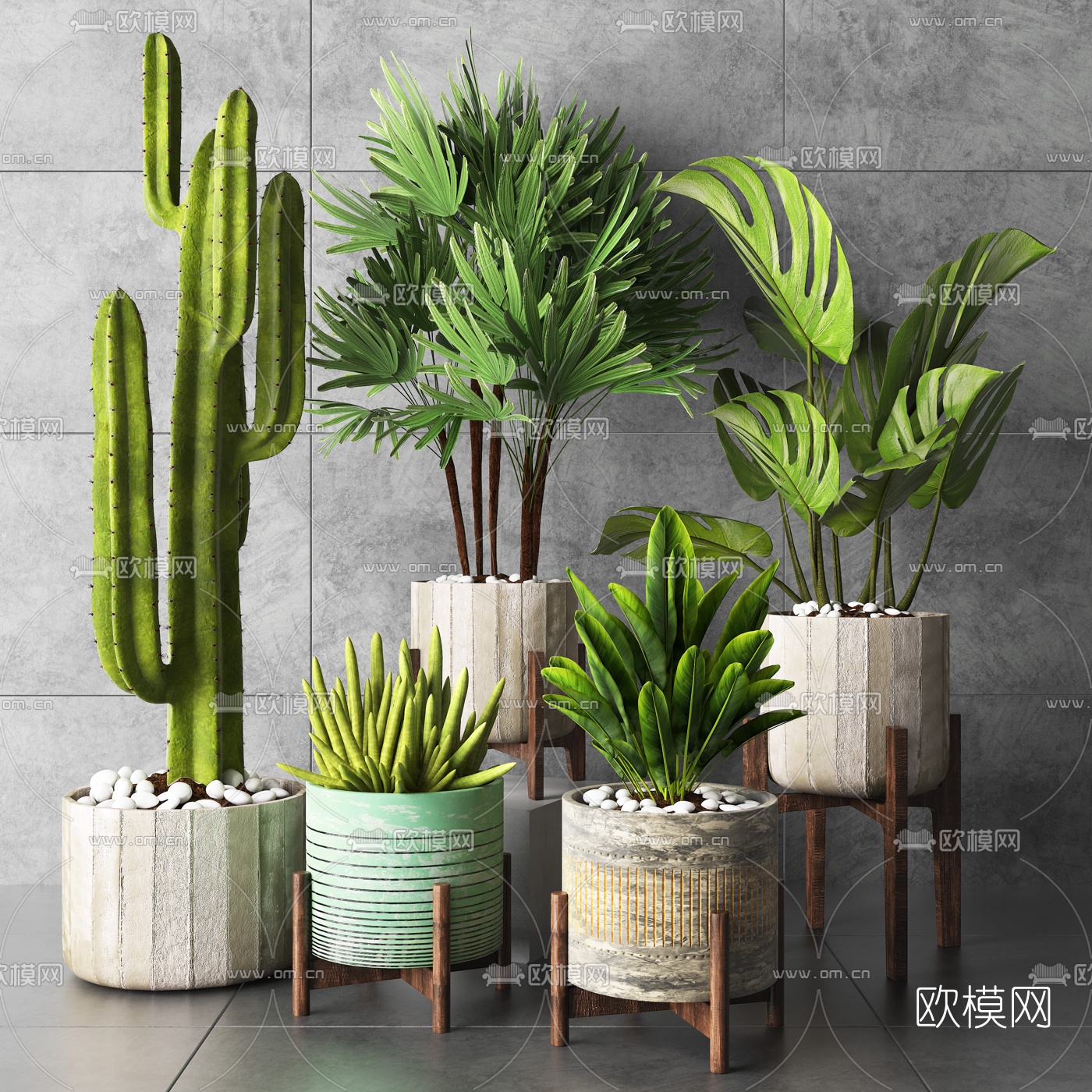 现代绿植仙人掌盆栽摆件3d模型下载