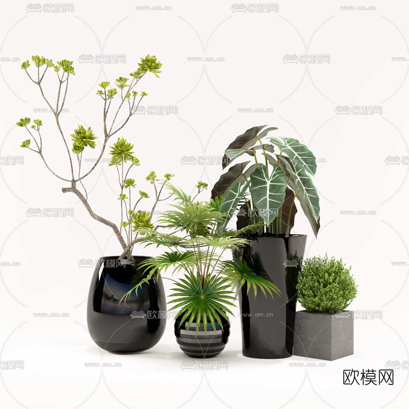 现代绿植盆栽3d模型