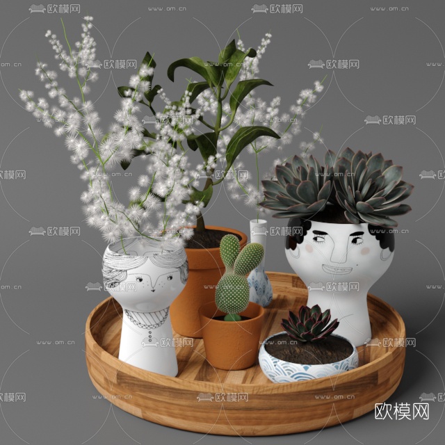 北欧装饰仙人掌绿植3d模型下载