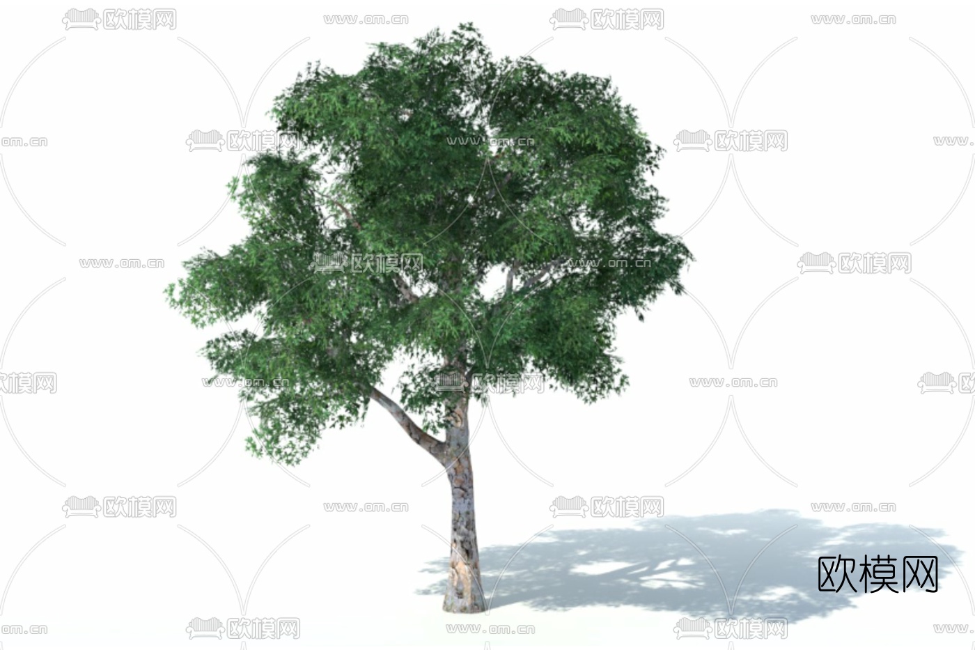 现代景观树免费su模型下载