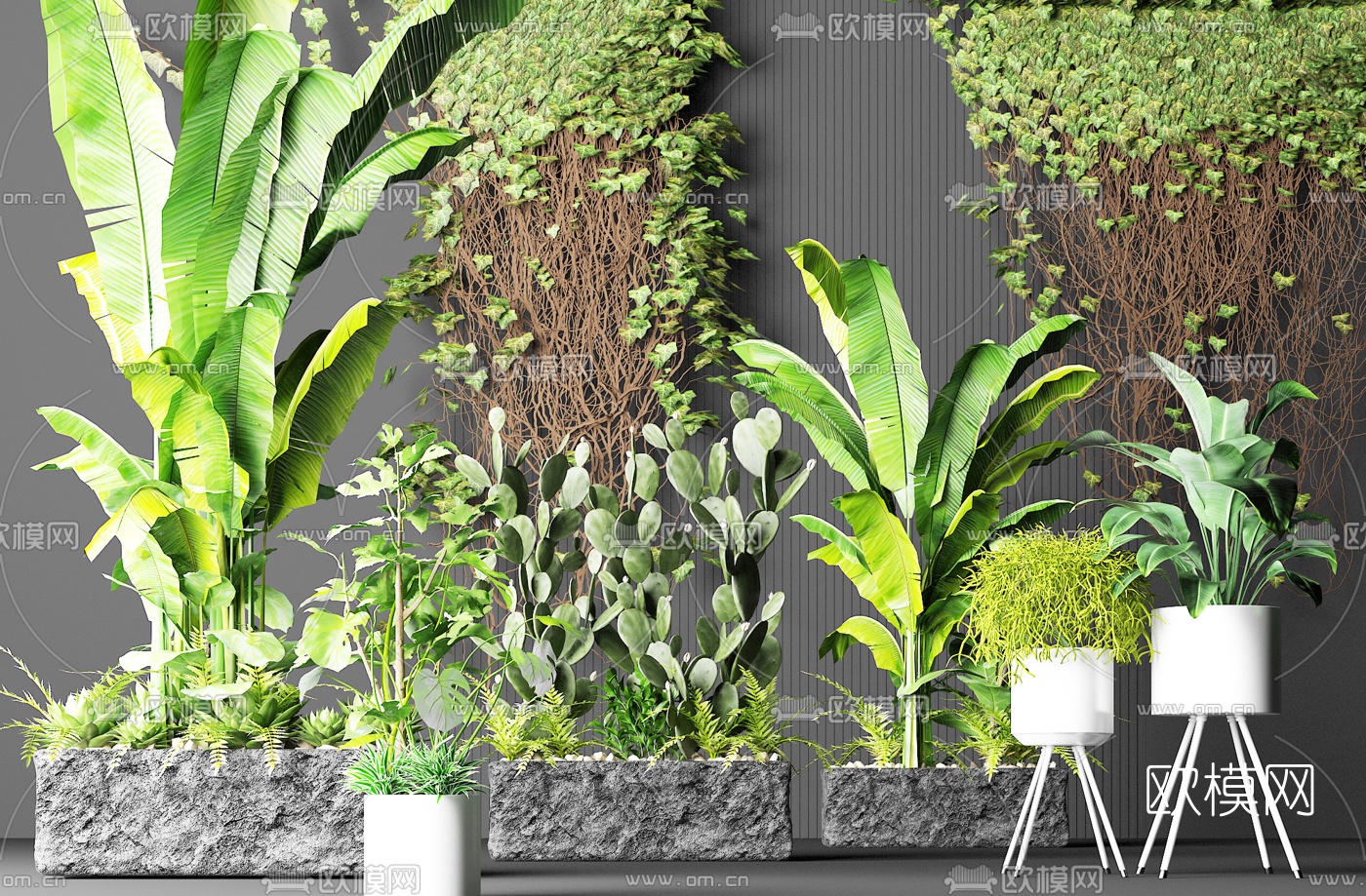现代绿植花草盆栽3d模型