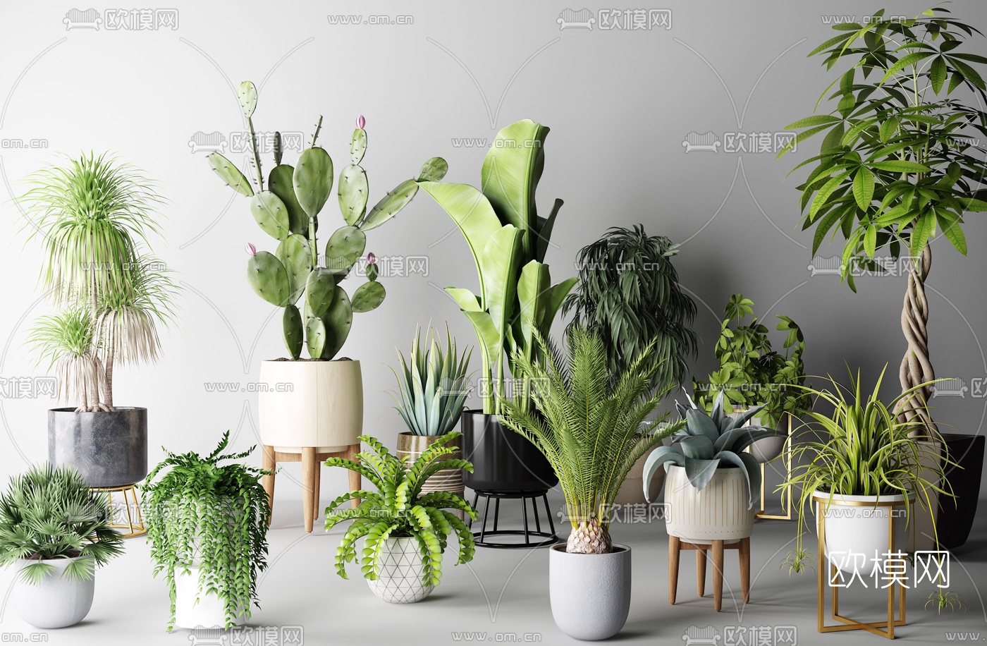现代植物仙人掌盆栽3d模型