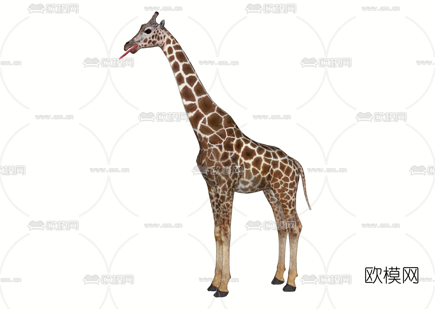 现代长颈鹿免费su模型下载