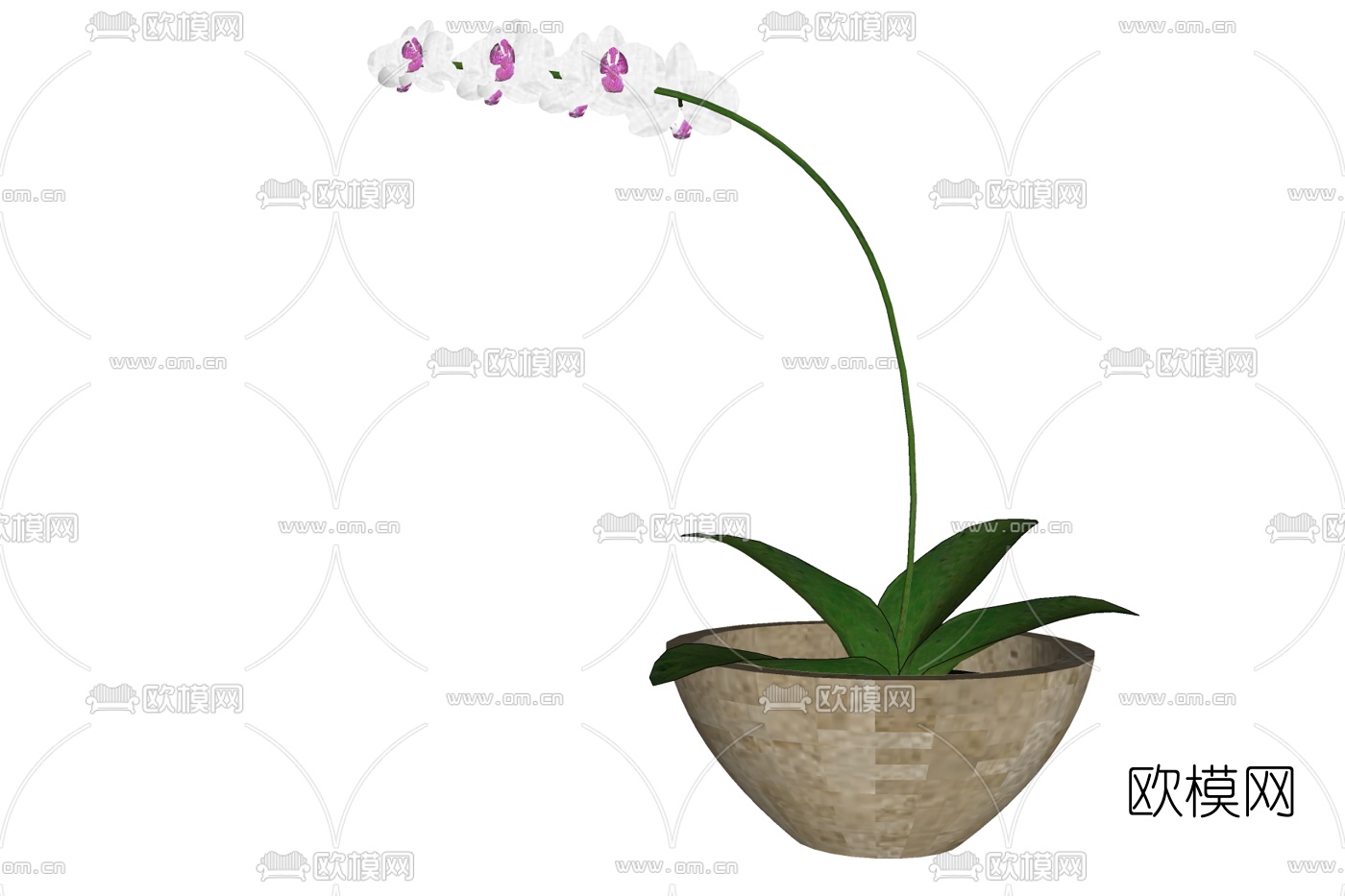 现代兰花盆栽免费su模型-免费3dmax模型库-欧模网