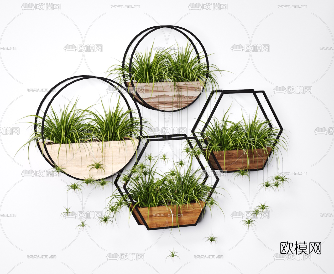 北欧盆栽墙面植物3d模型