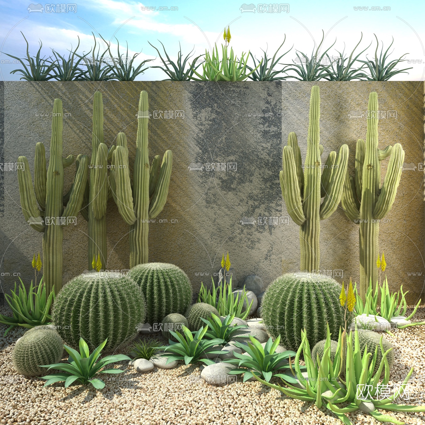现代仙人掌花坛3d模型下载