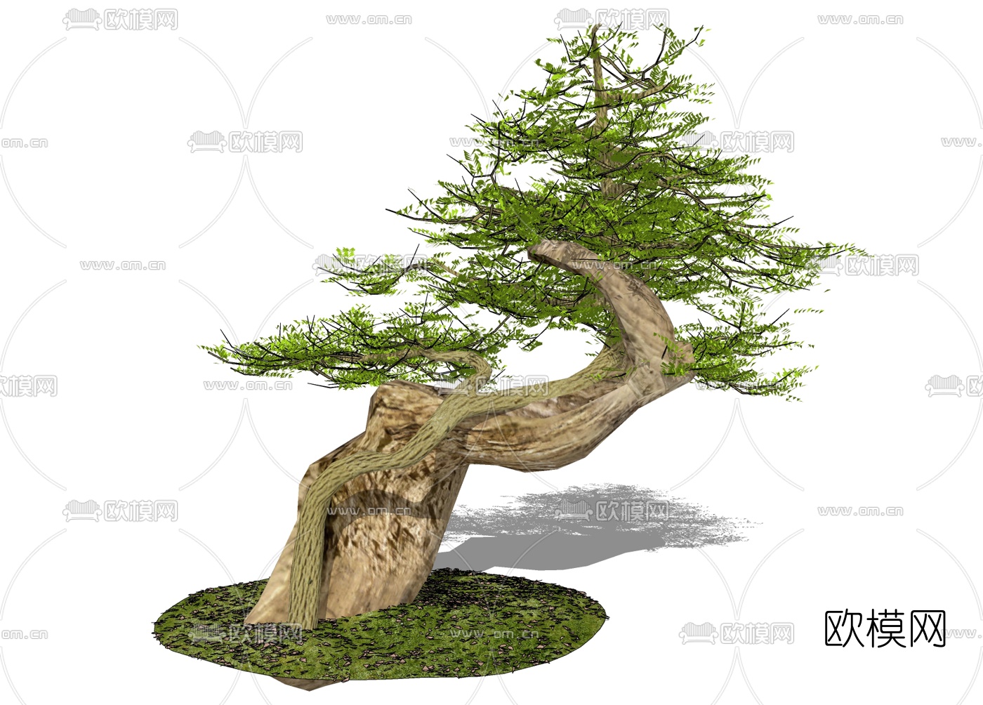 中式松树免费su模型下载
