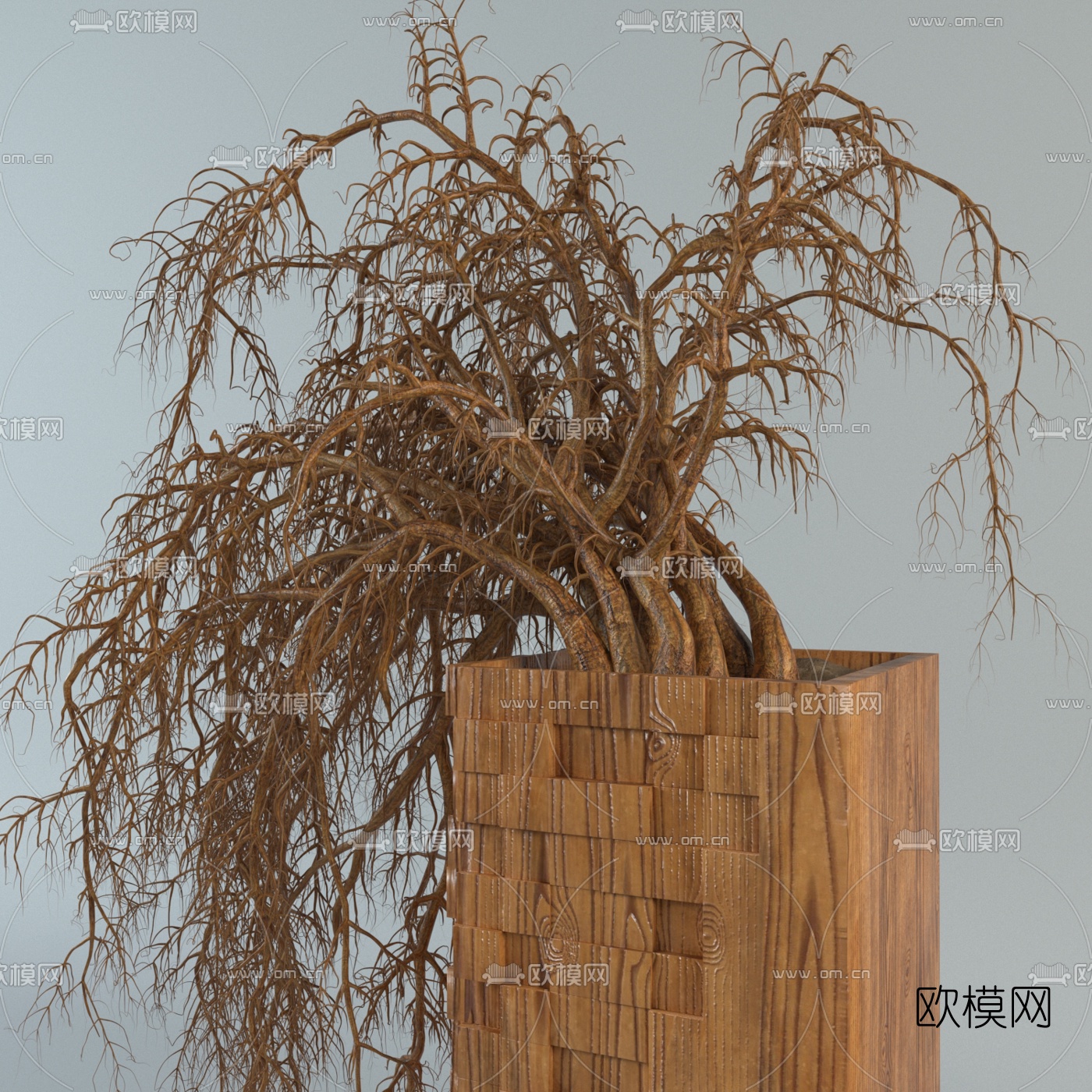 自然风干支盆栽免费3d模型下载（渲染图3）
