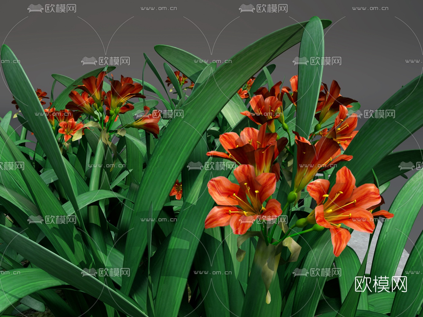 现代兰花草3d模型下载_ID10533327_3dmax免费模型-欧模网