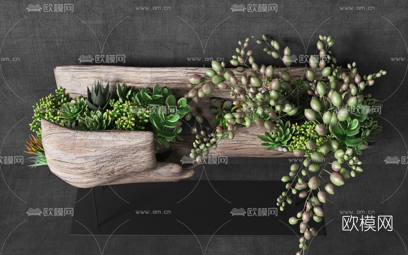 自然风原木多肉盆栽3d模型下载