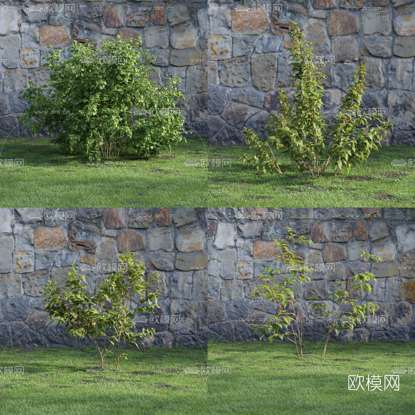 现代园林灌木绿植3d模型