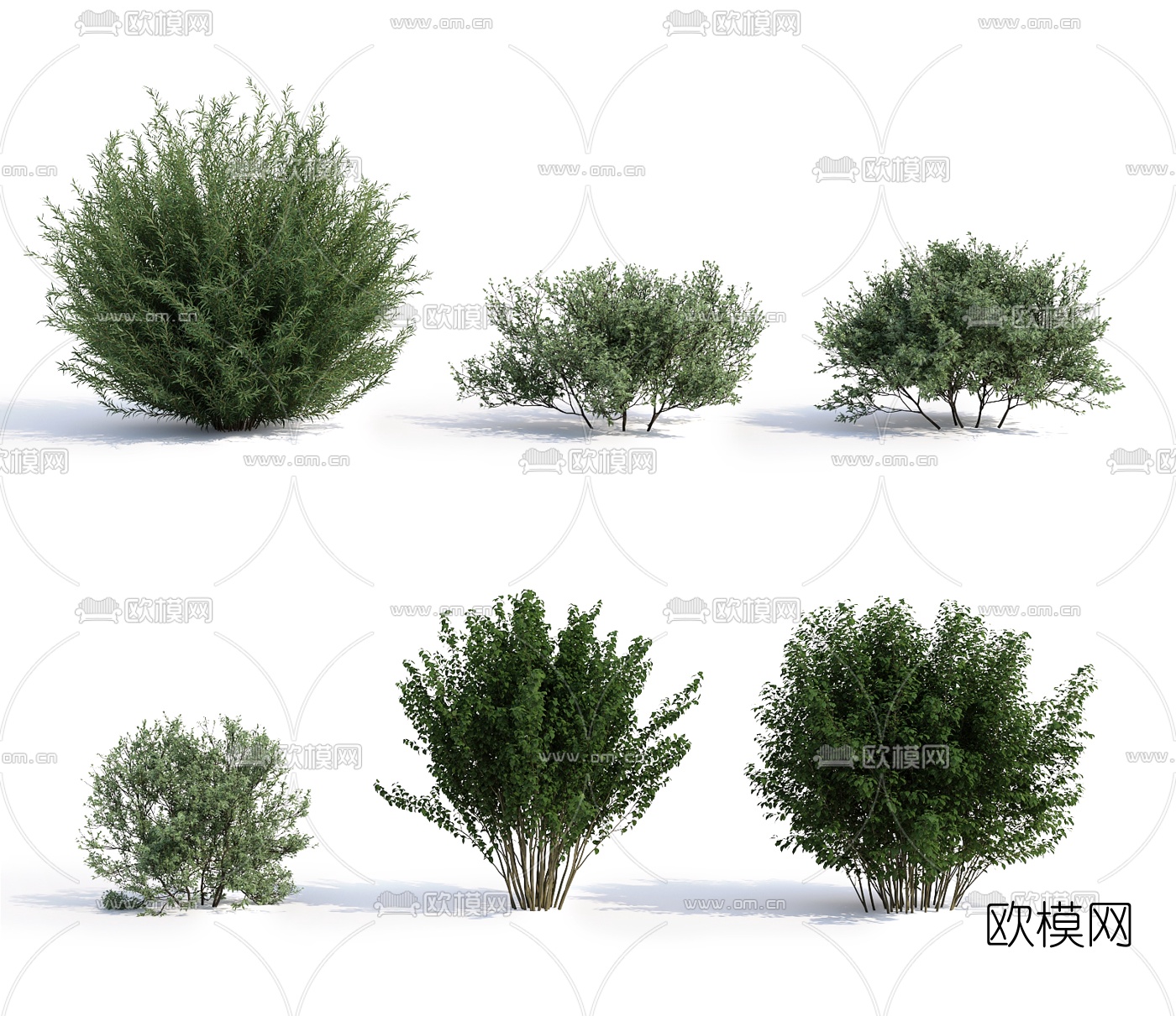 现代灌木丛3d模型下载