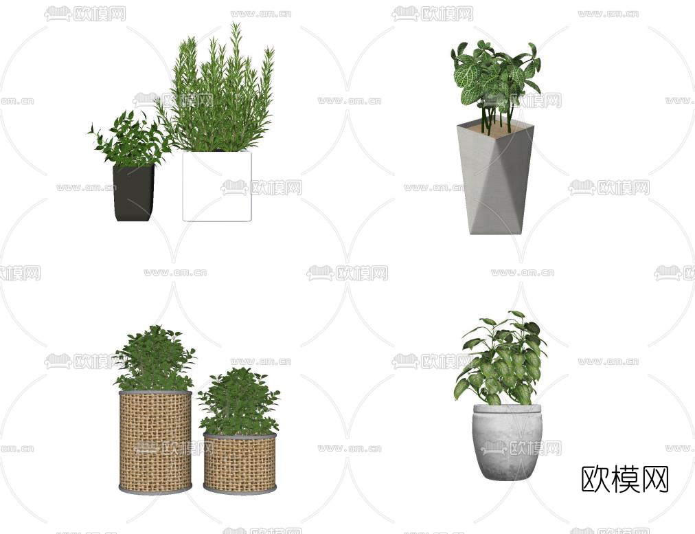 现代绿植盆栽su模型下载