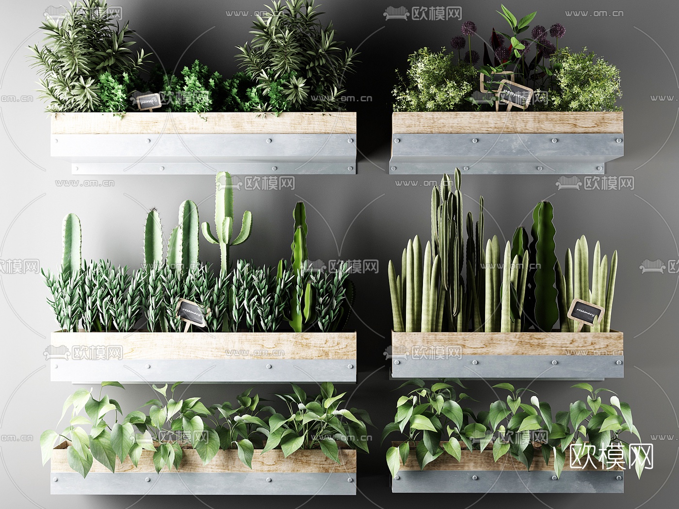 现代仙人掌绿植盆栽3d模型