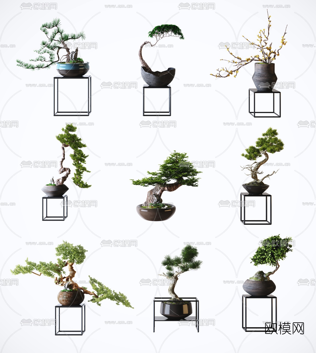 新中式禅意植物盆栽3d模型
