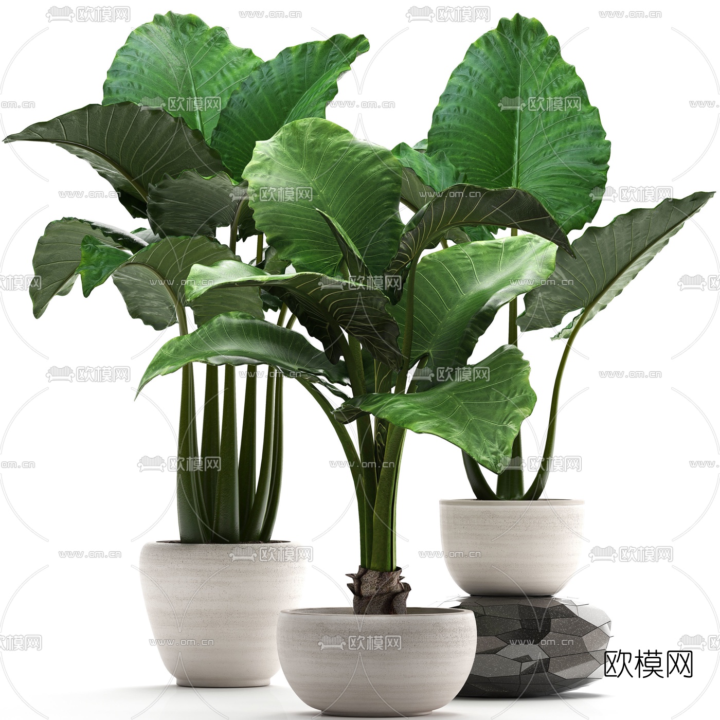 现代绿植盆栽3d模型