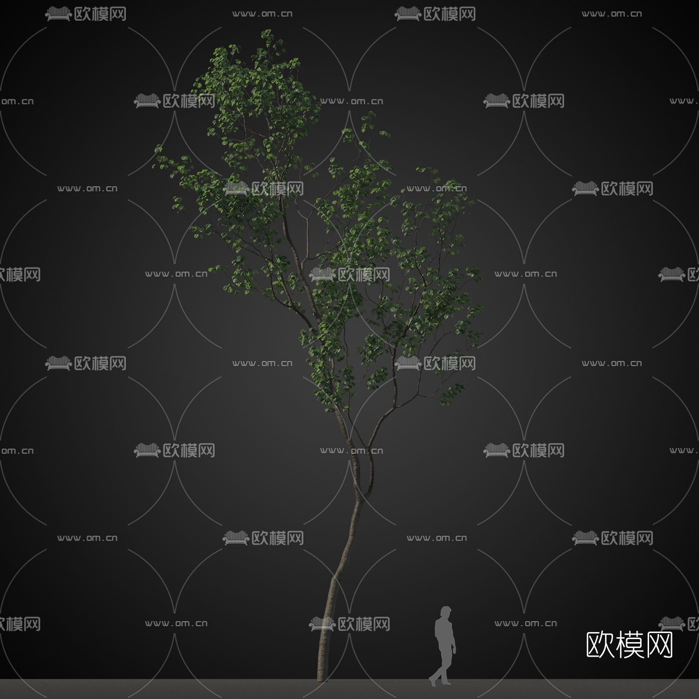 现代行道树景观树免费3d模型下载