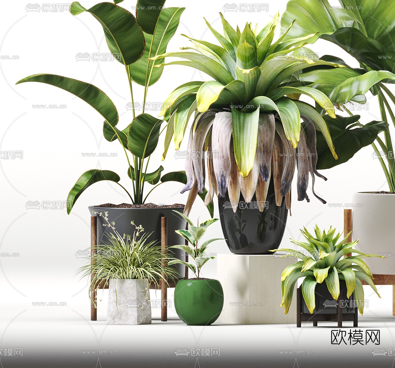 现代植物盆栽3d模型