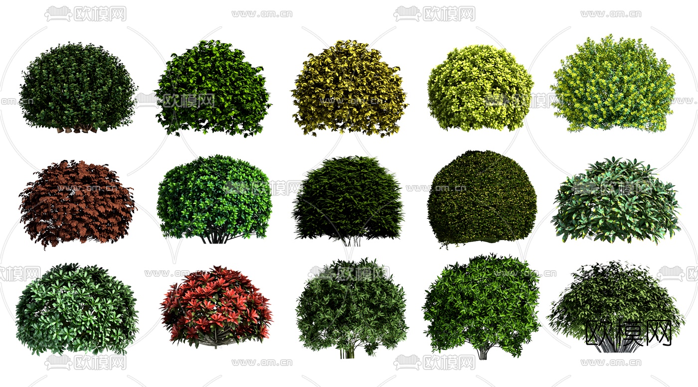 现代景观绿篱花草灌木3d模型