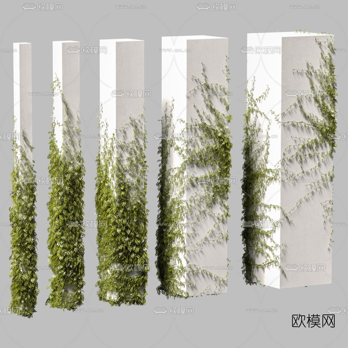 现代绿植爬藤3d模型下载（渲染图1）