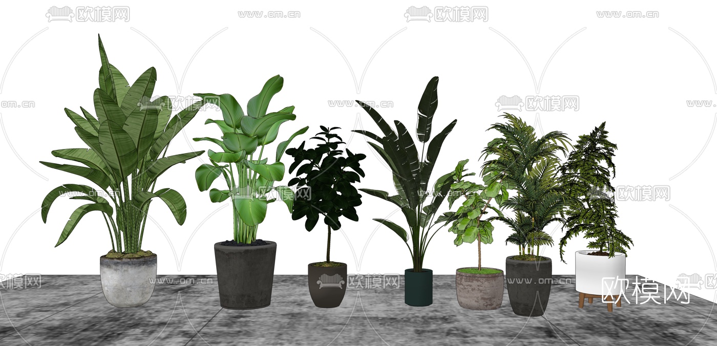 现代绿植盆栽su模型下载