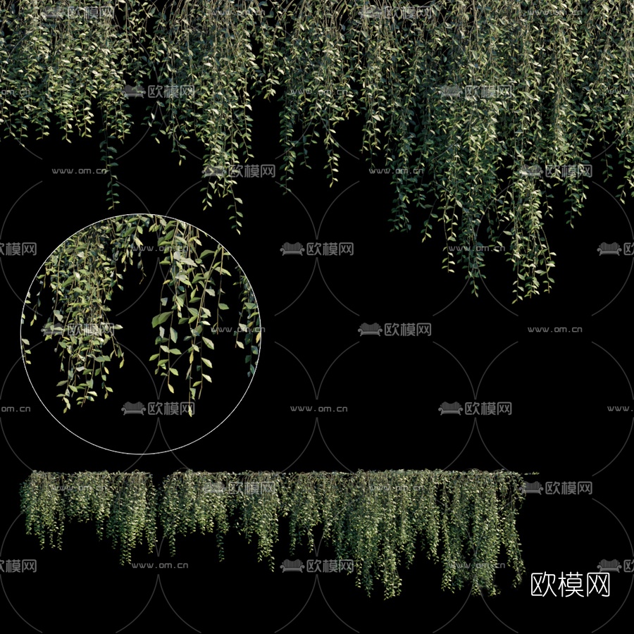 现代绿植藤蔓3d模型下载