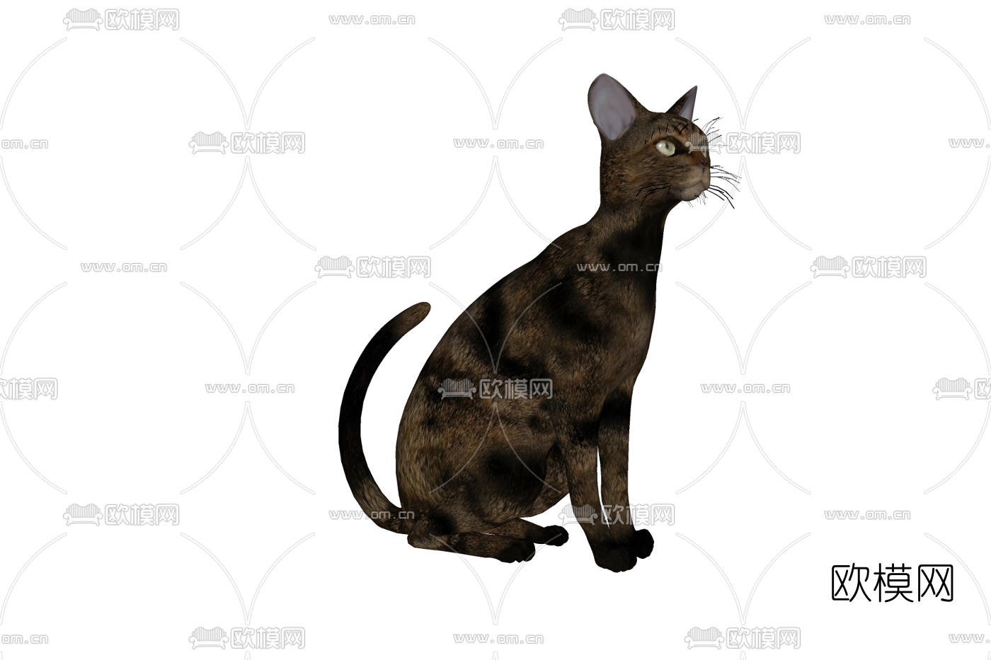 现代哈瓦那棕猫免费su模型下载