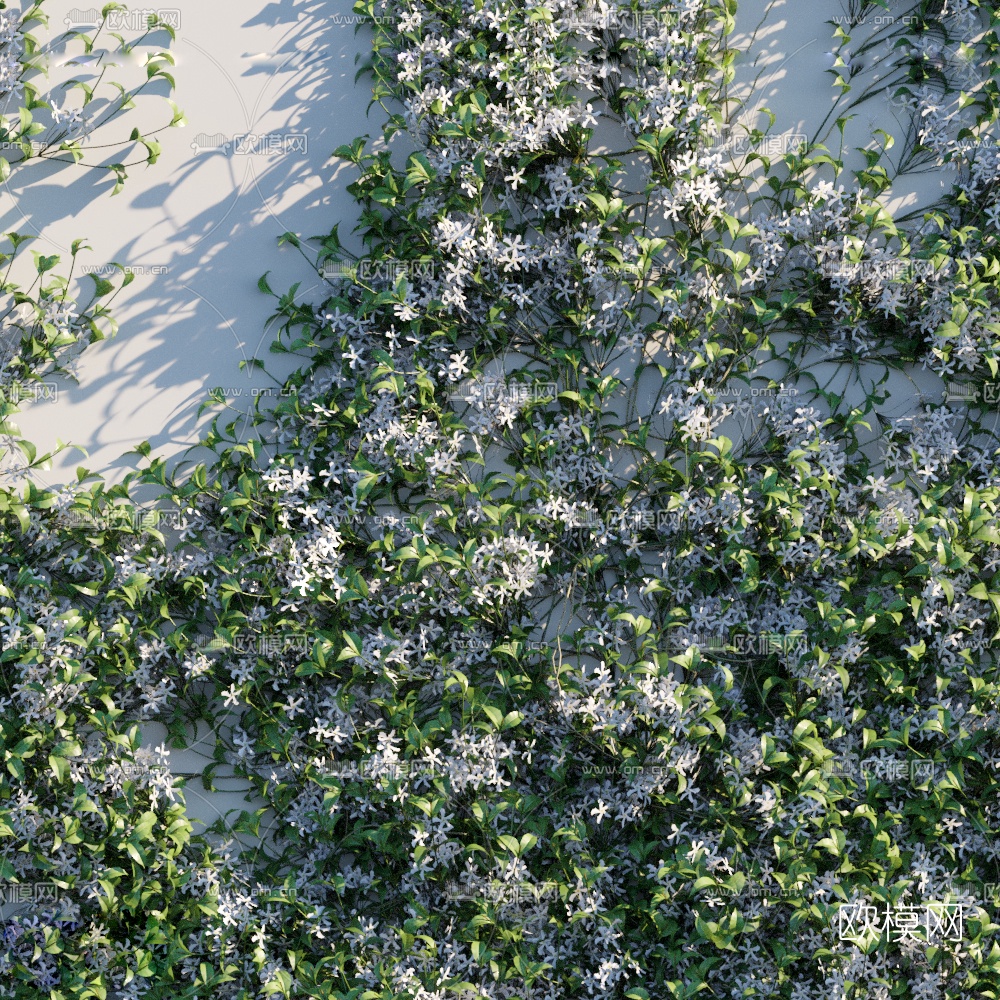 现代植物墙藤蔓3d模型下载（渲染图2）