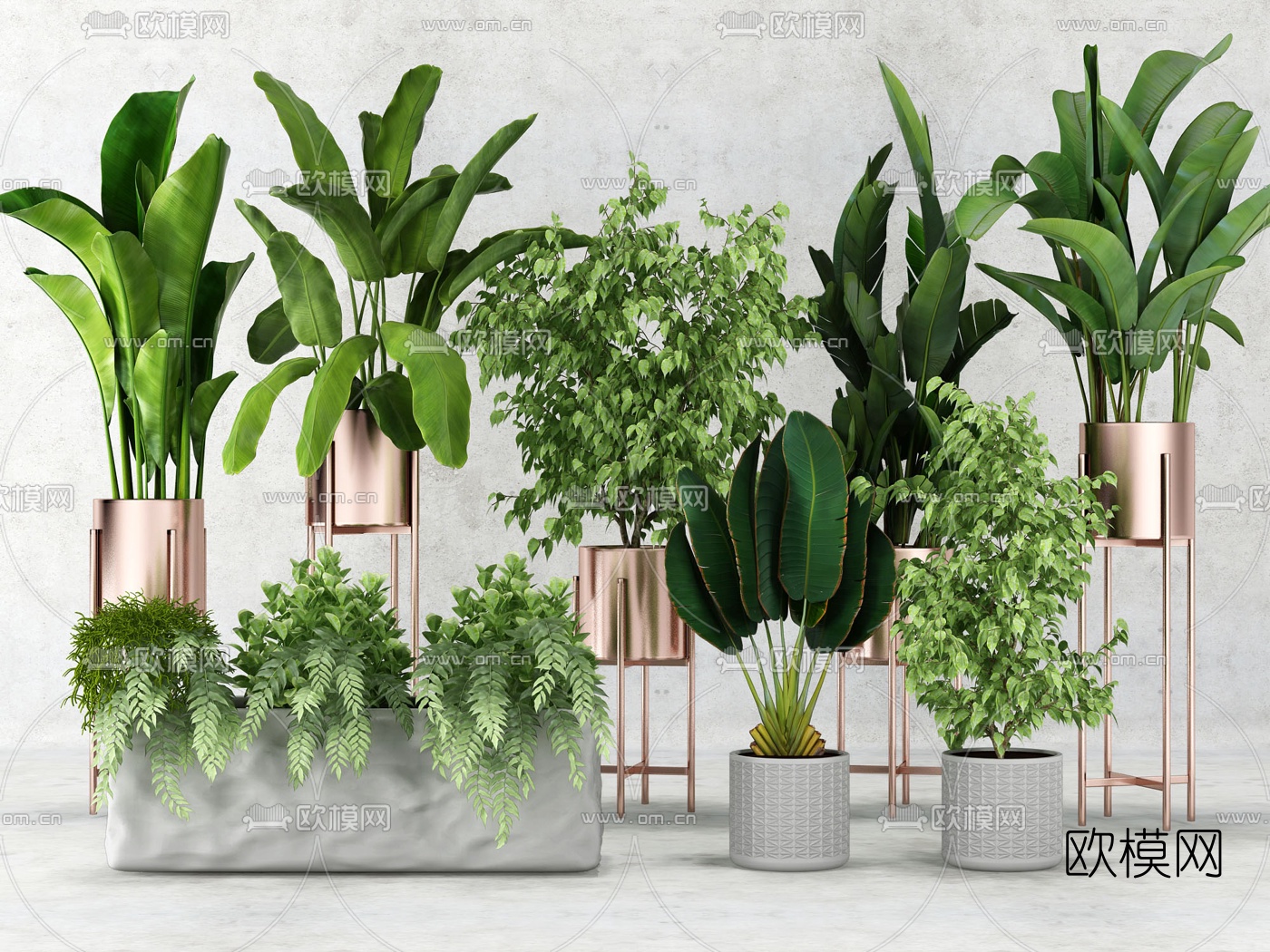 现代植物盆栽组合3d模型