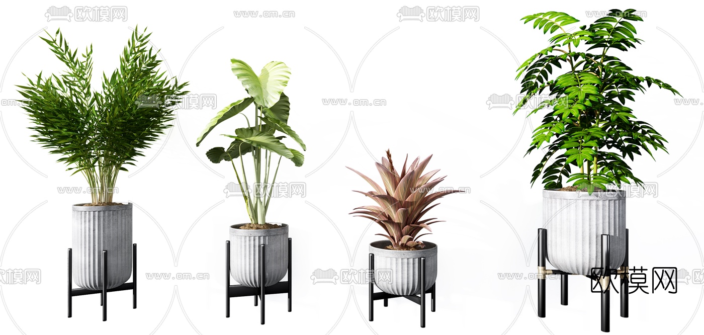 现代袖珍椰子植物盆栽组合3d模型-免费3dmax模型库-欧模网