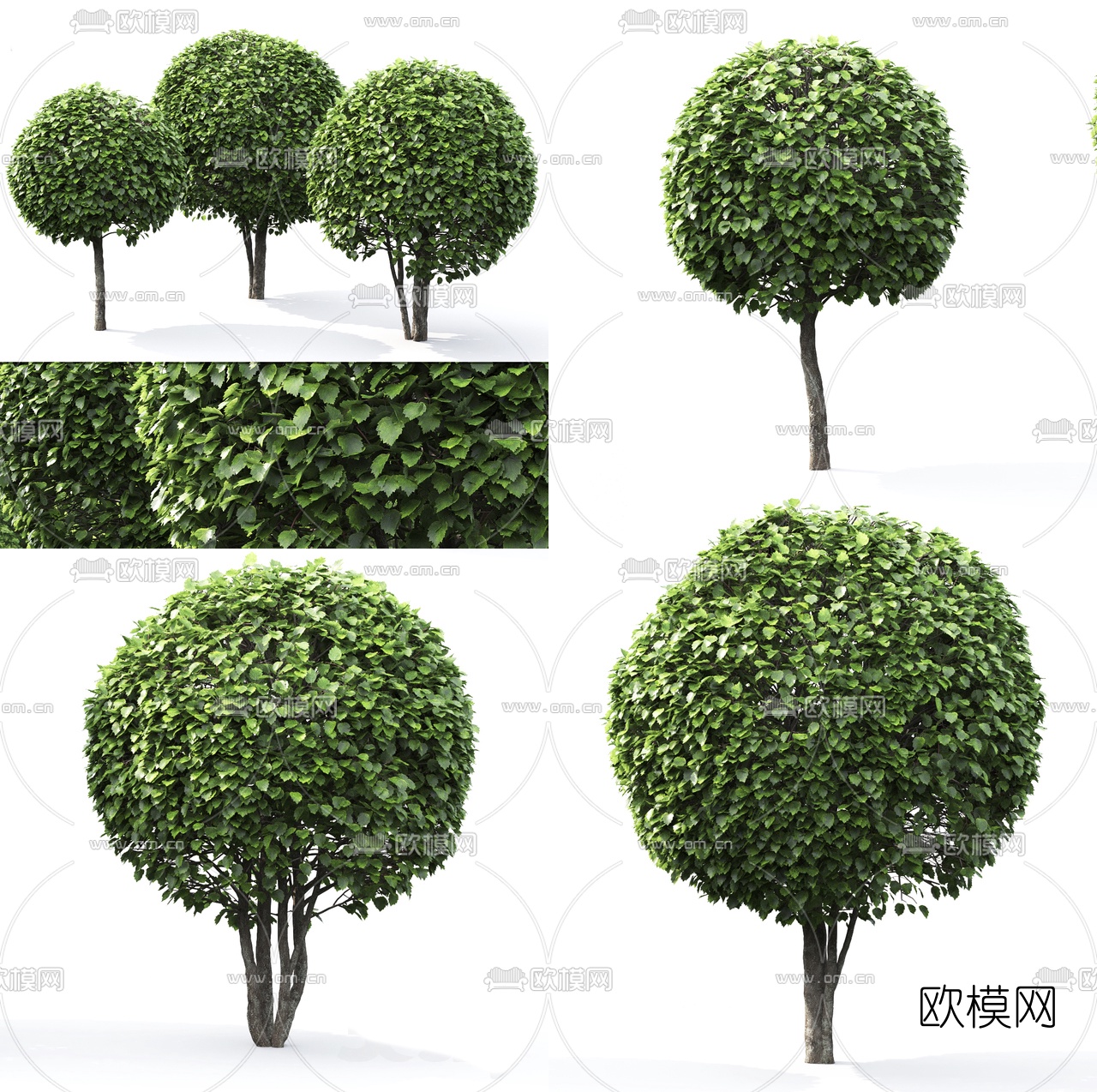 现代球形景观树3d模型